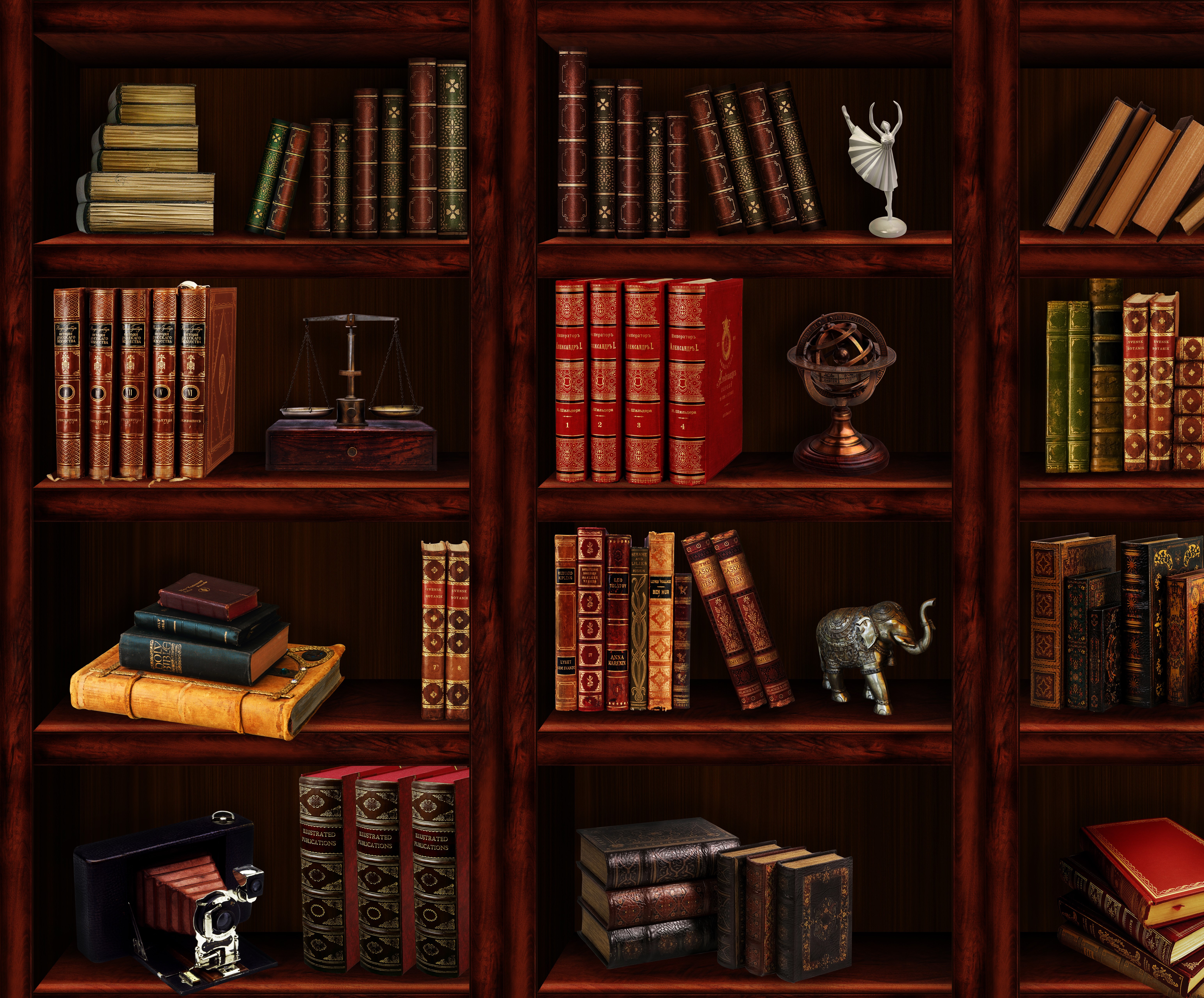 bookshelf.jpeg